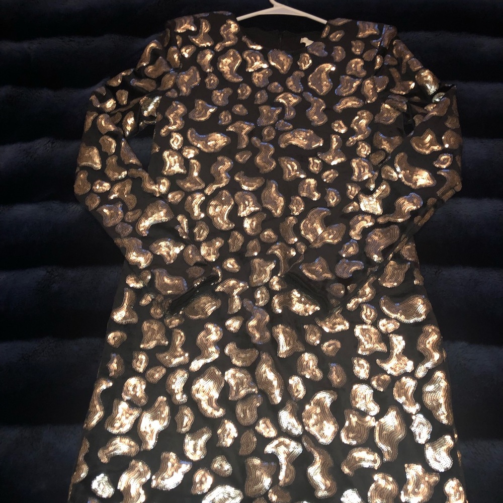 HM Velvet and Sequin Long Sleeve Dress ( New)